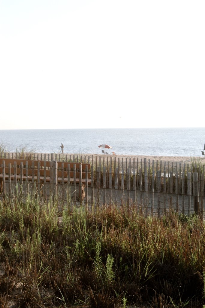 Premium lawn care in Amagansett