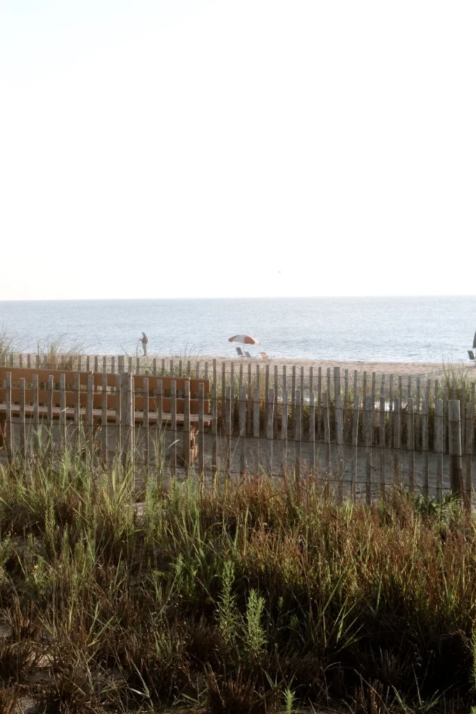 Amagansett lawn care and property services