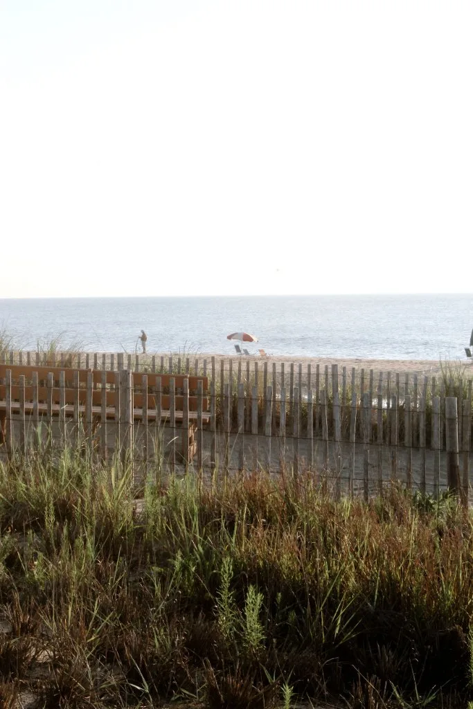 Amagansett lawn care