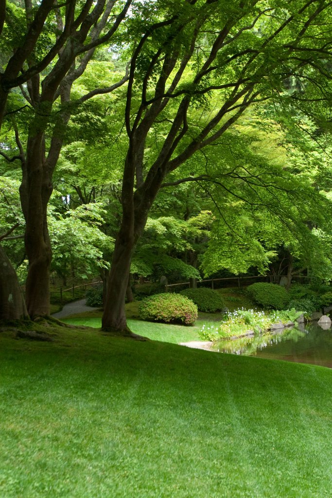 Premium lawn care in Bridgehampton