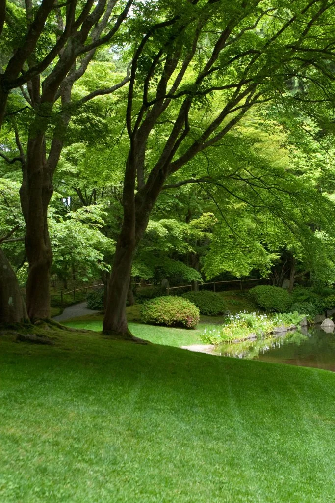 Bridgehampton lawn care and property services