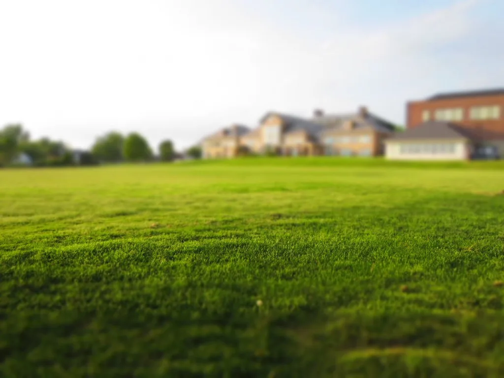 Deep Root Slow Fertilization