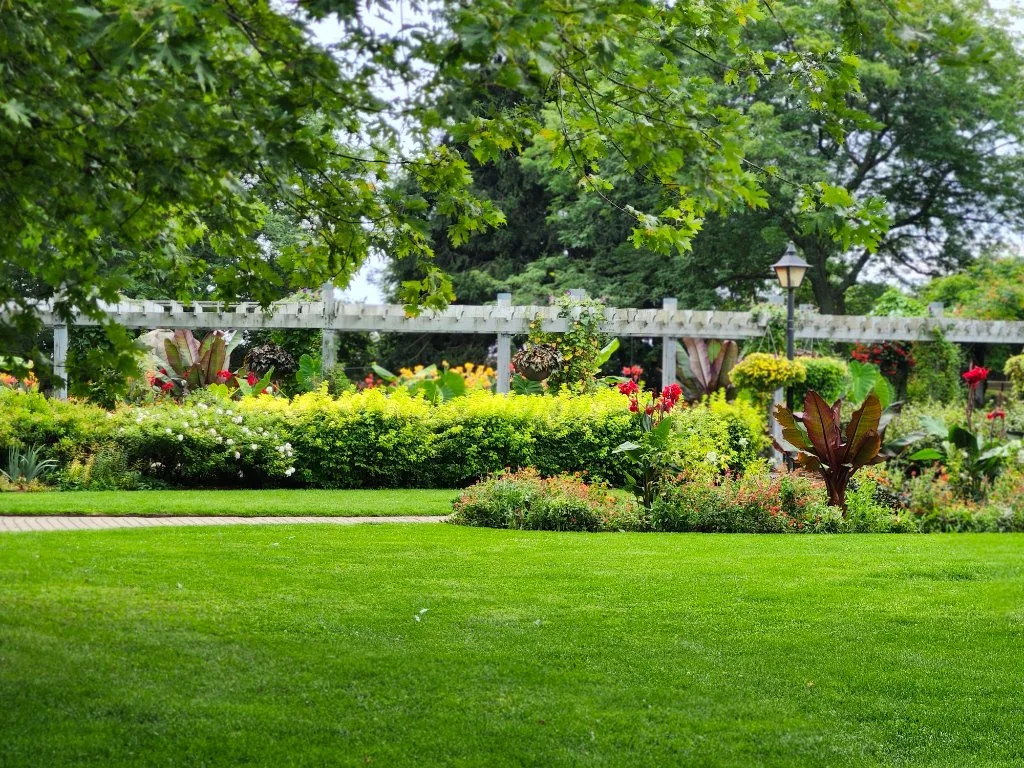 Hamptons garden landscape