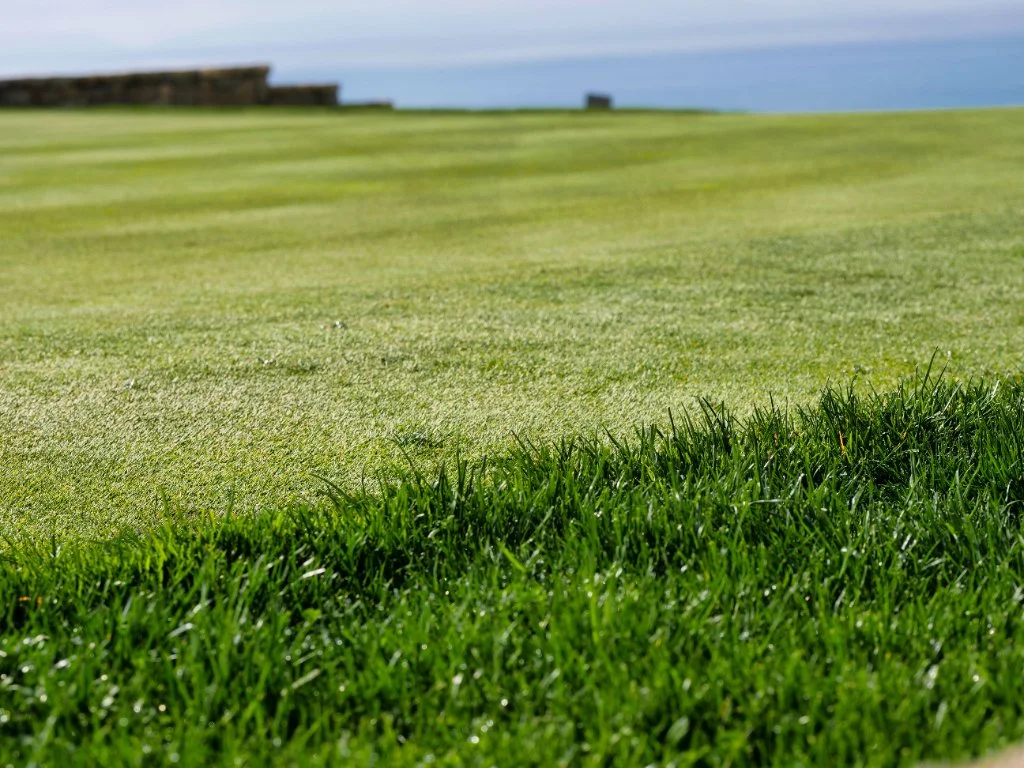 Premium Hamptons estate lawn care
