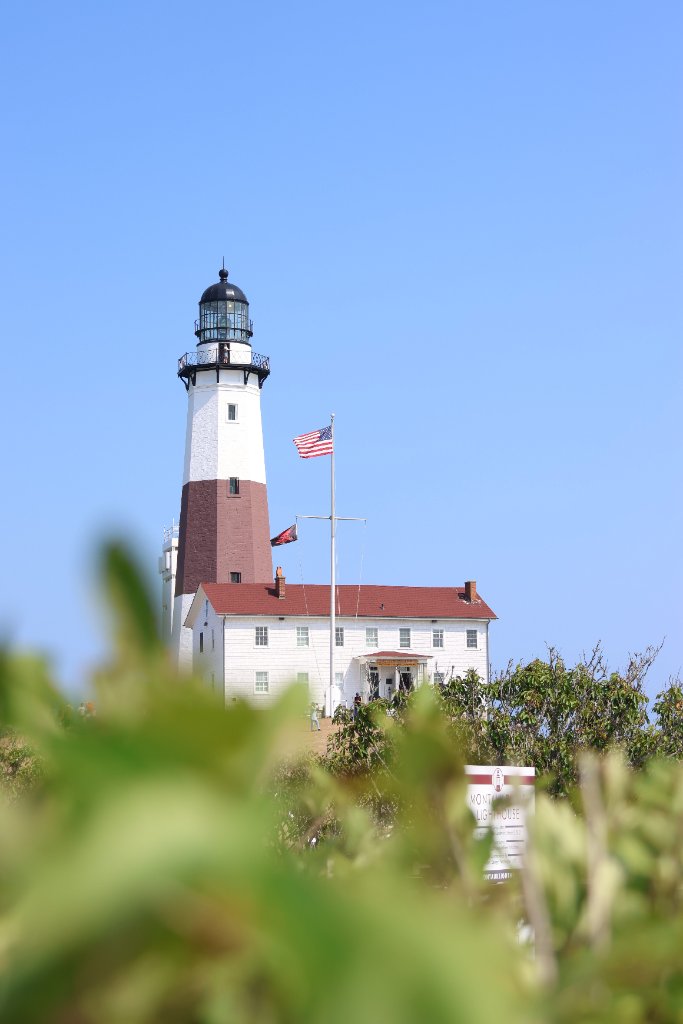 Premium lawn care in Montauk