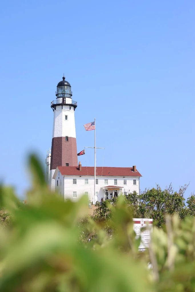 Montauk lawn care and property services