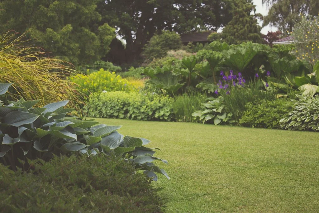 Plant Healthcare in the Hamptons