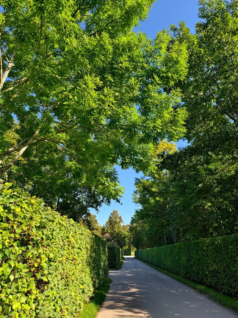 Sagaponack lawn care and property services
